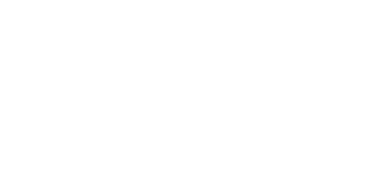 Berndnow Logo